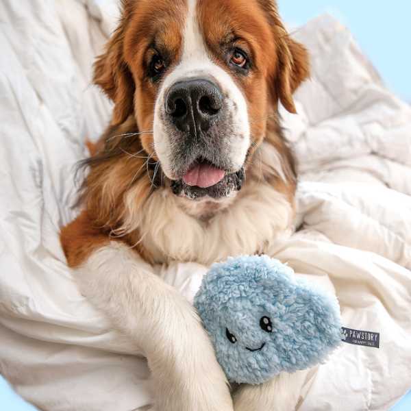 PawStory - Cloudy Cuddle