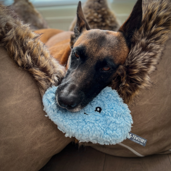 PawStory - Cloudy Cuddle