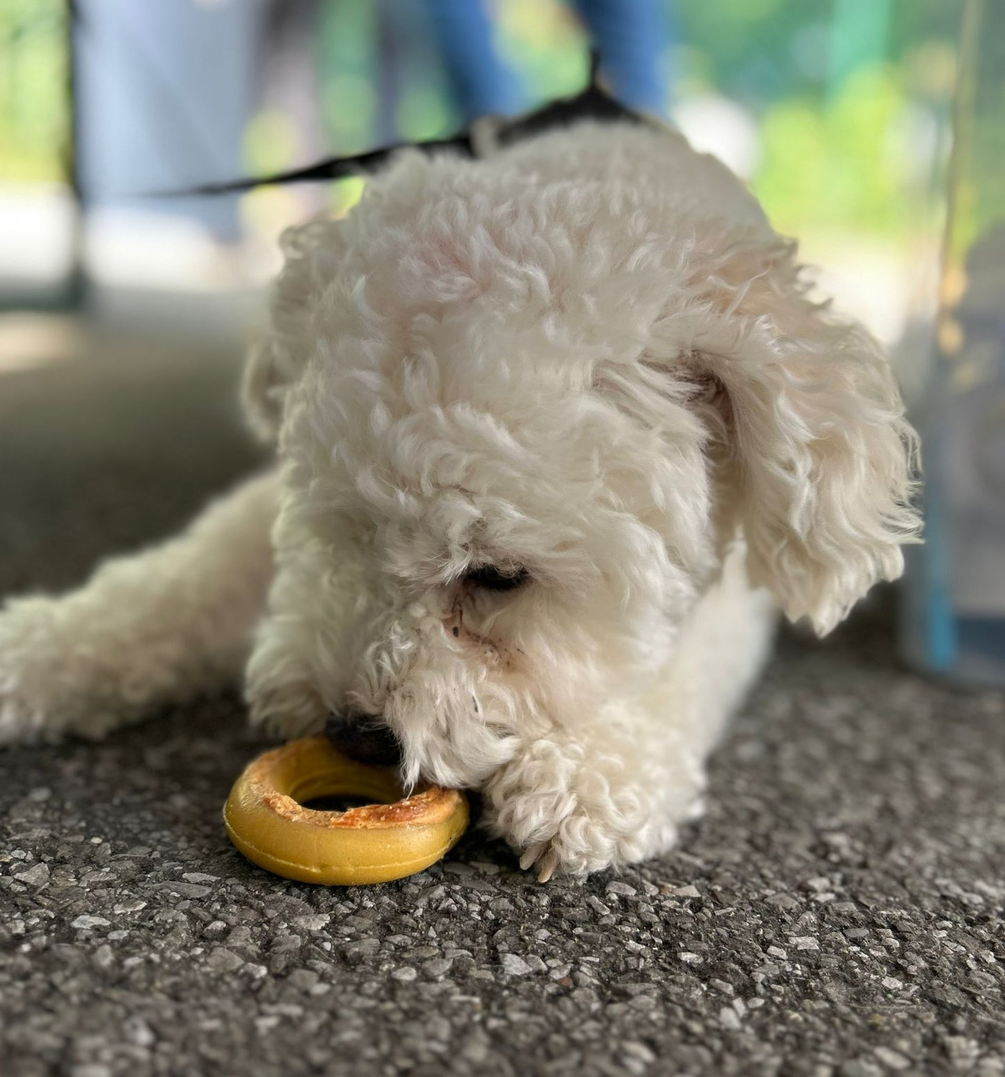 Donut