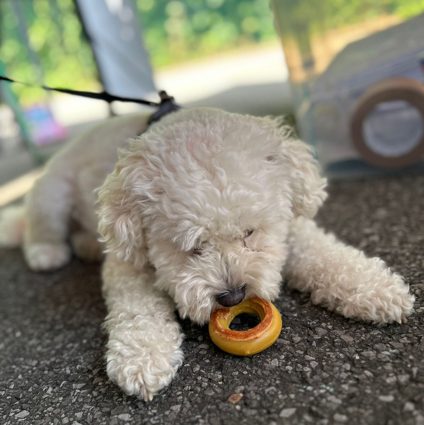 Donut