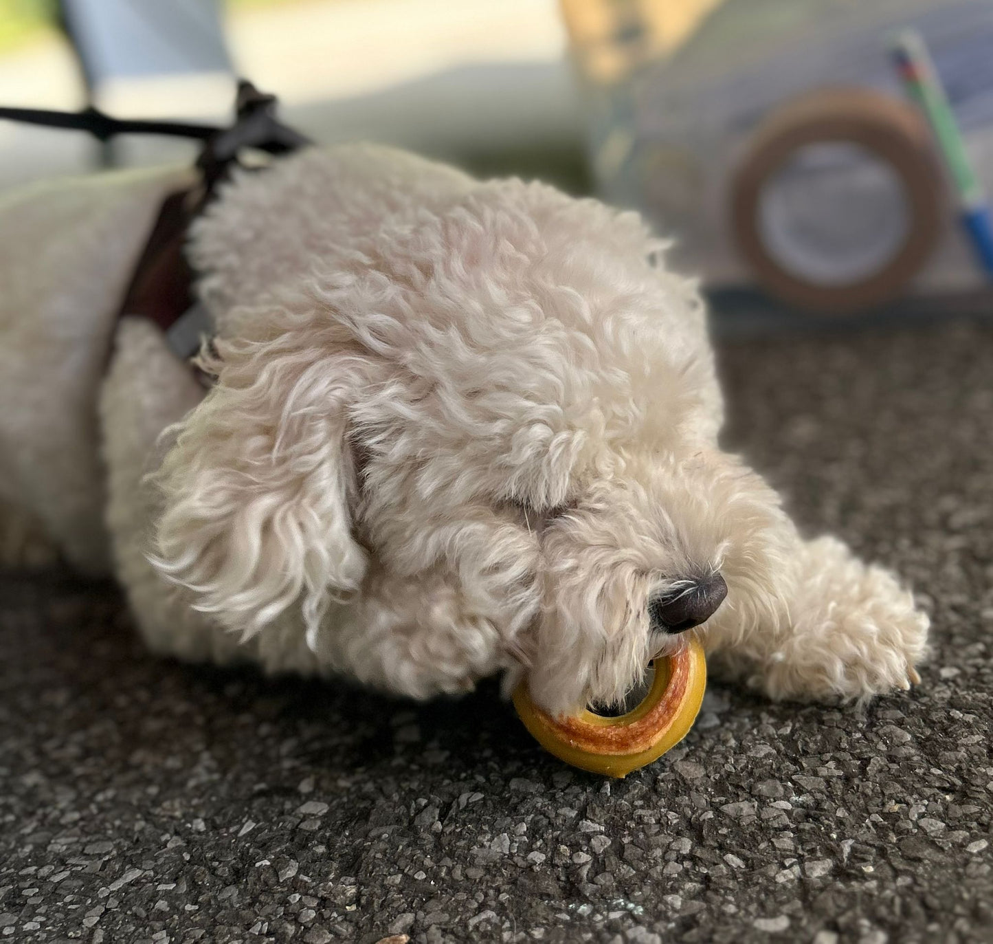 Donut