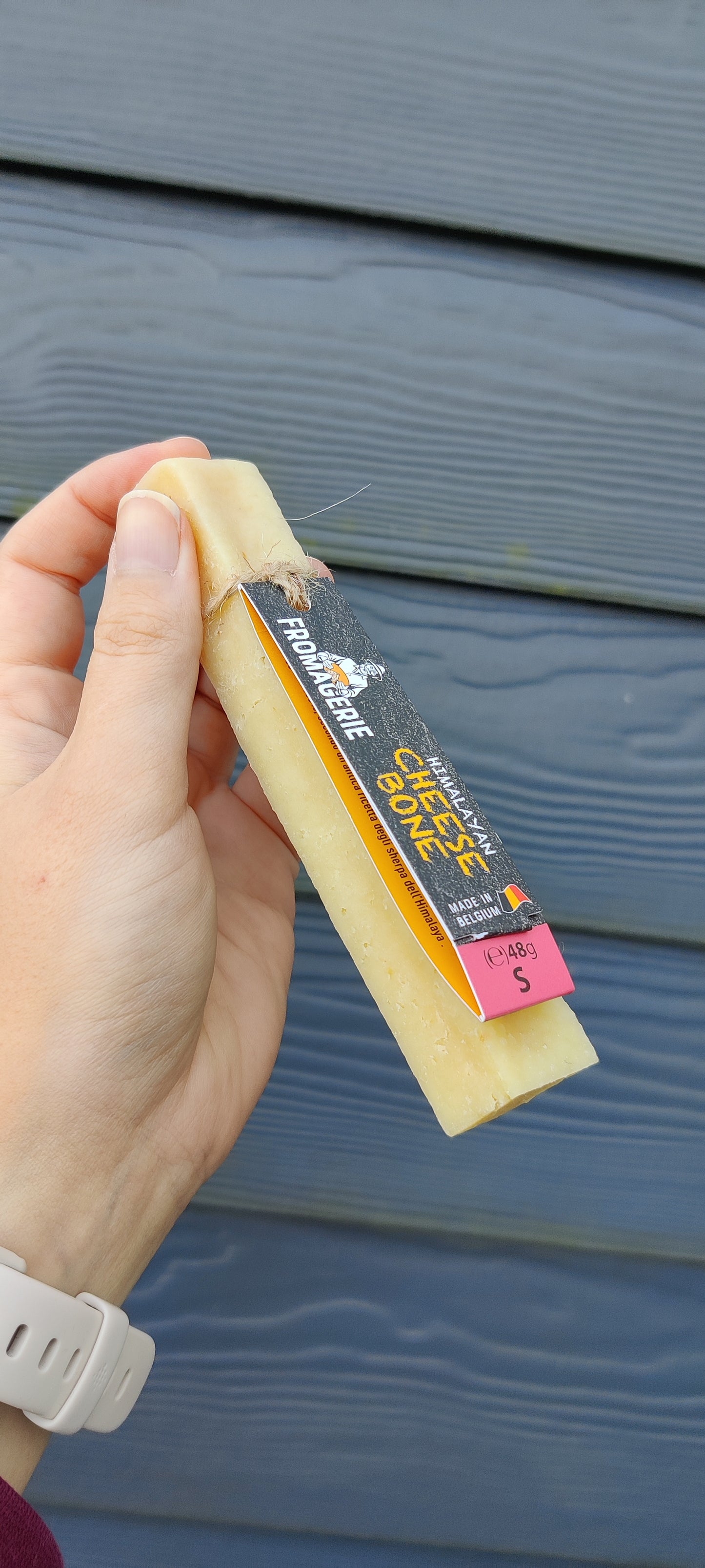 Cheese Bone