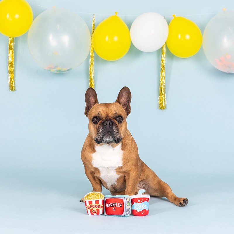 Barkflix Set