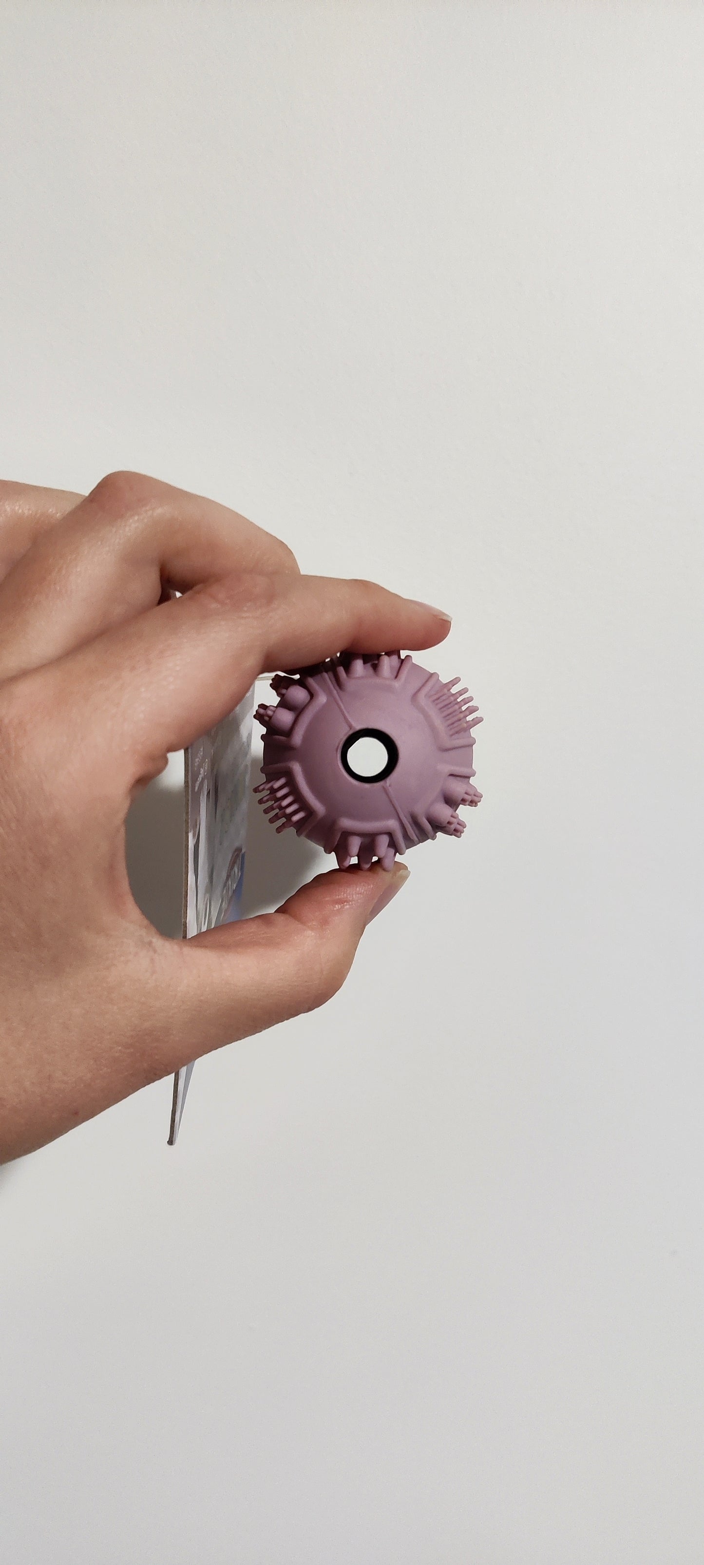 Trixie - Junior Halter