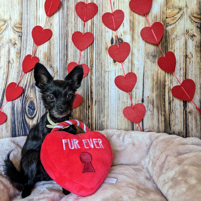 Lulubelles - Fur Ever Lock Heart