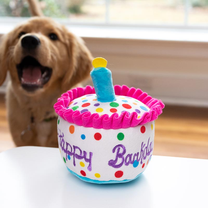 Lulubelles - Happy Barkday Cake - Small