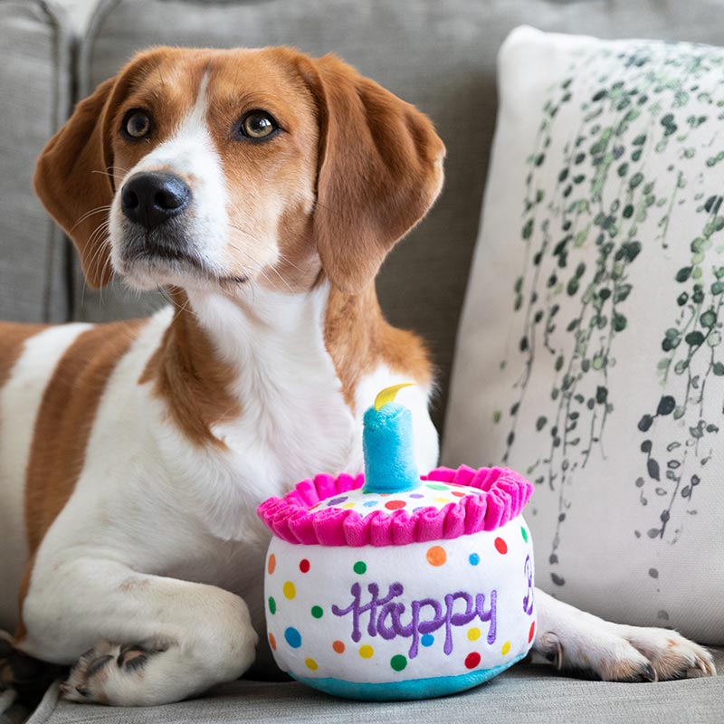 Lulubelles - Happy Barkday Cake - Small