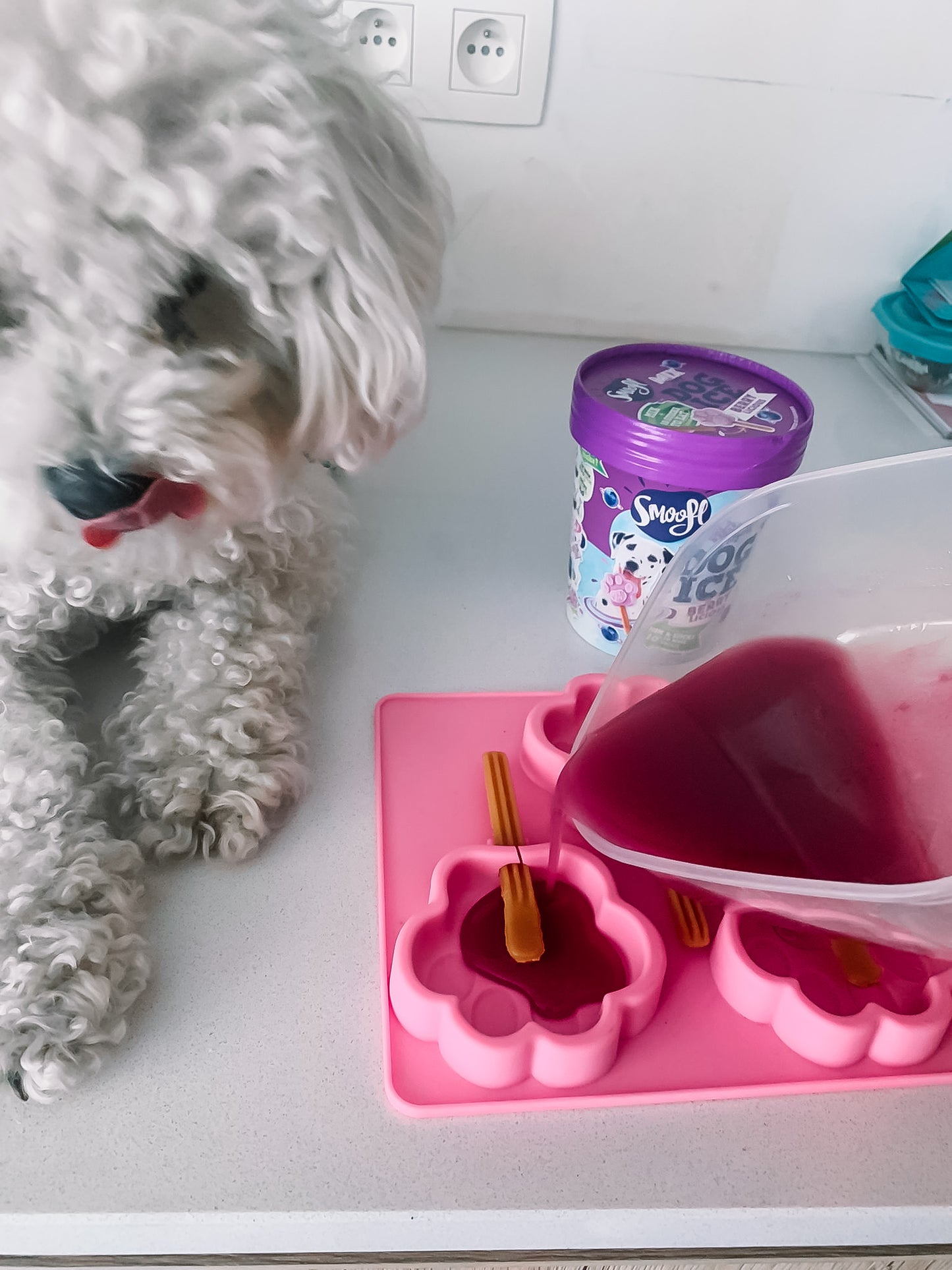 Smoofl Dog Ice - Creamy Caramel