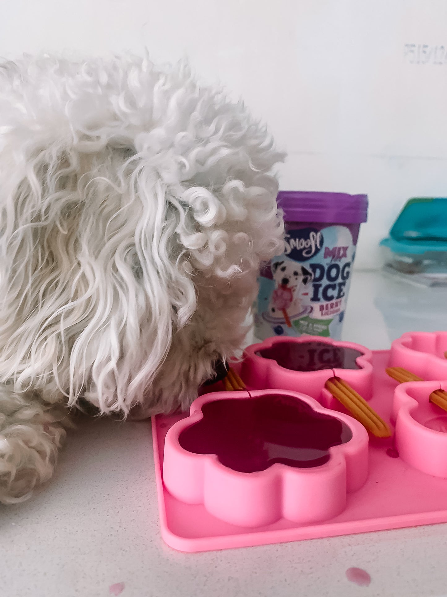 Smoofl Dog Ice - Creamy Caramel