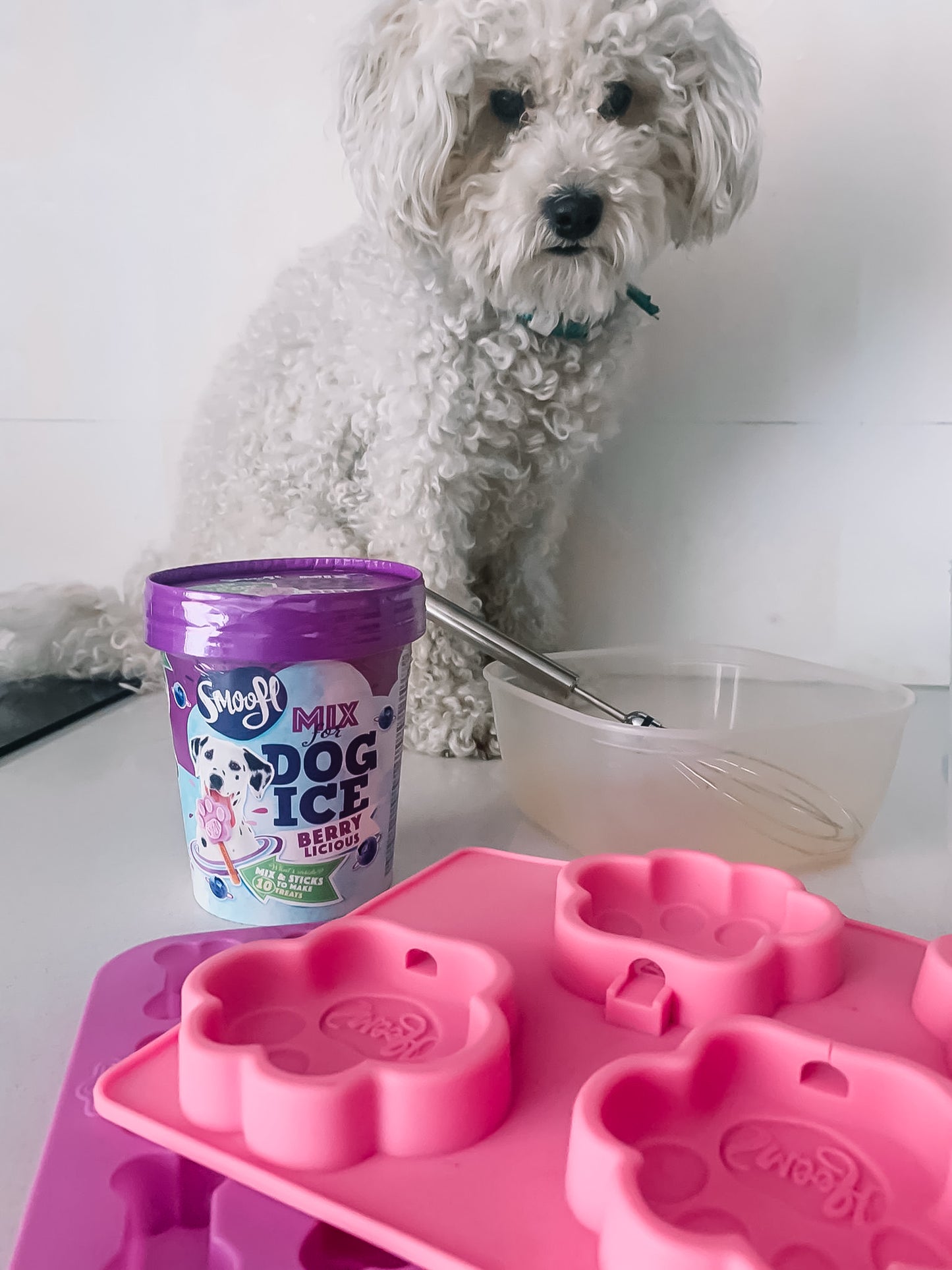Smoofl Dog Ice - Creamy Caramel