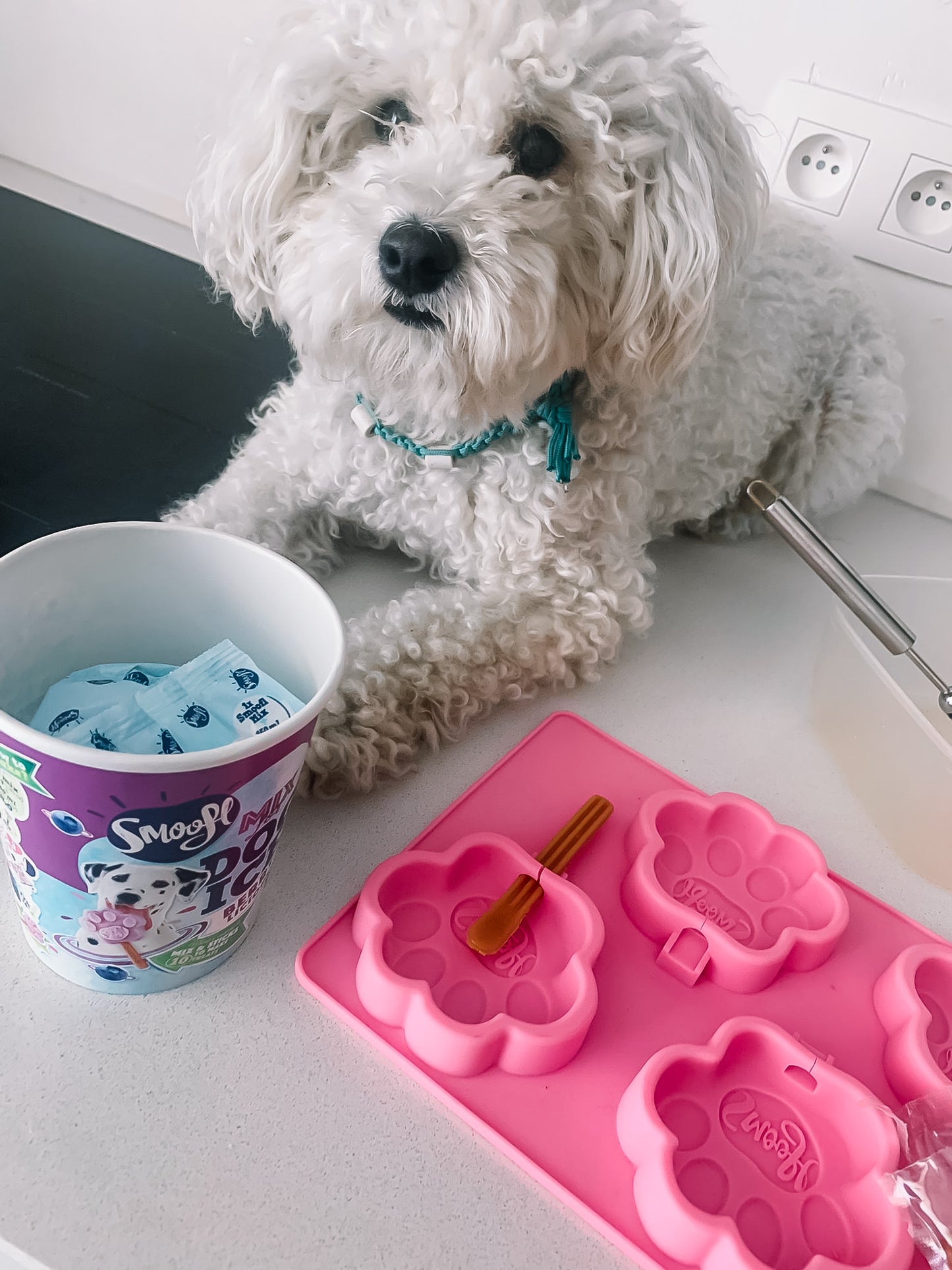 Smoofl Dog Ice - Creamy Caramel