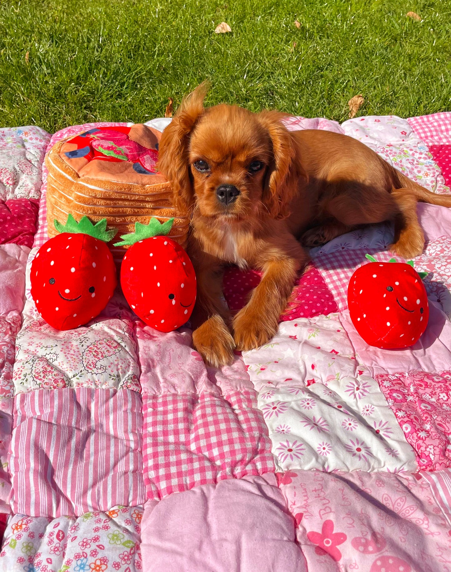 PawStory Snuffles - Pancake party
