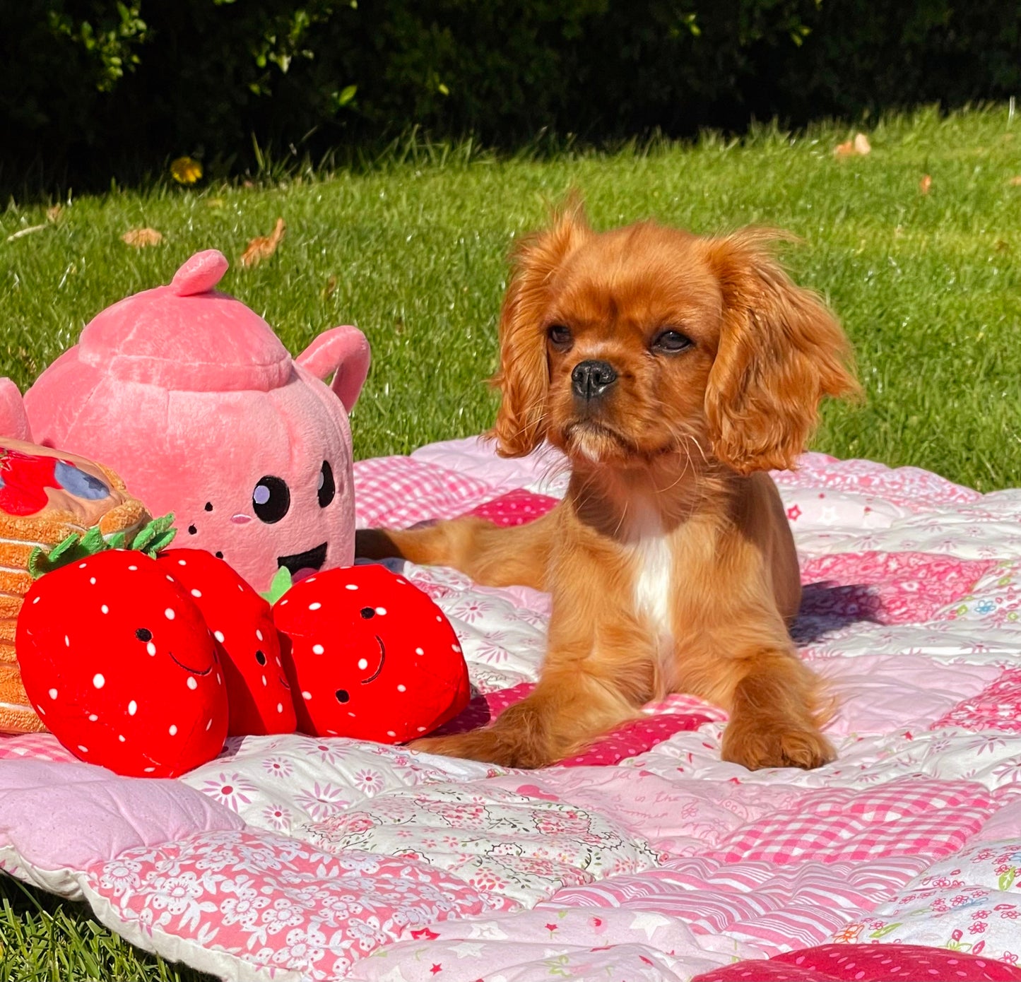 PawStory Snuffles - Pancake party