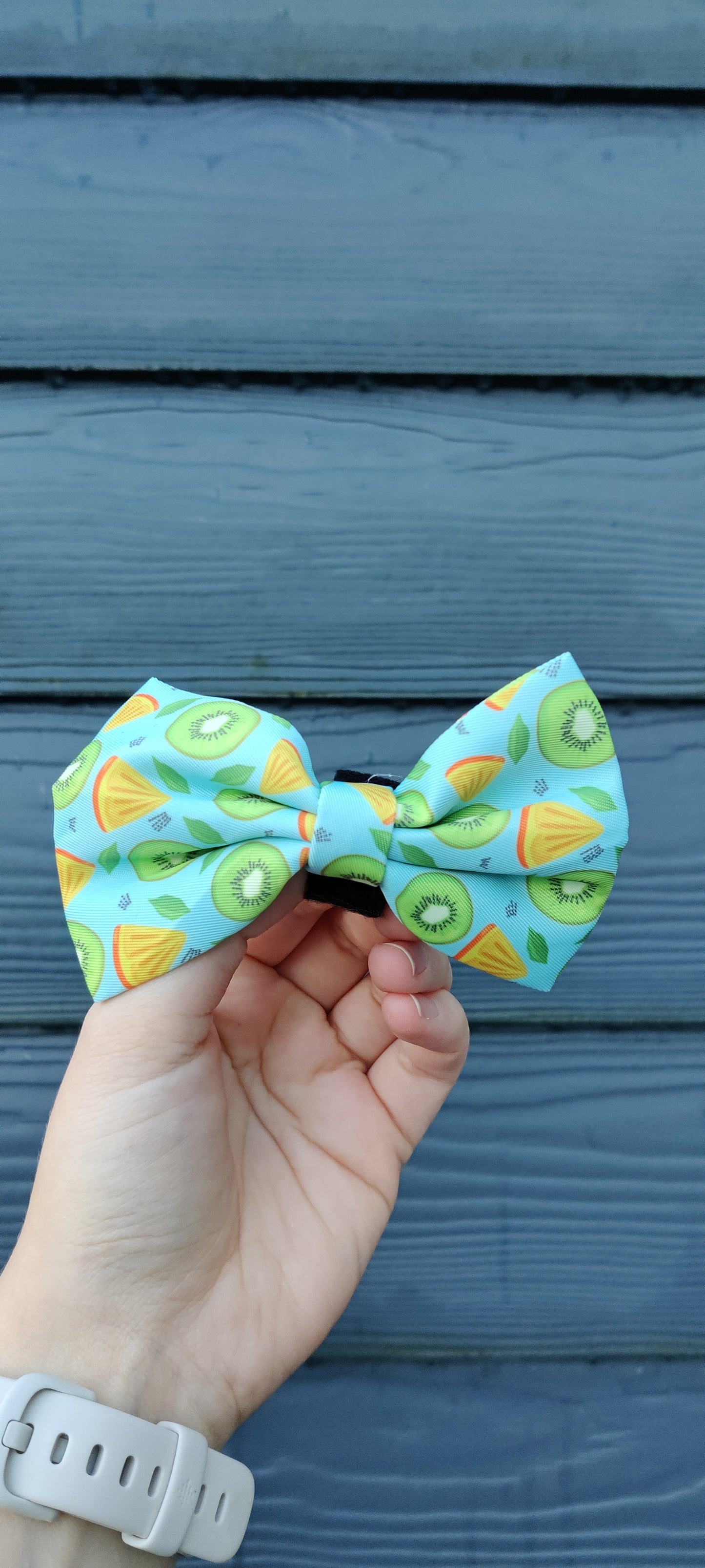 Barkzie - Bowtie - Sorrento