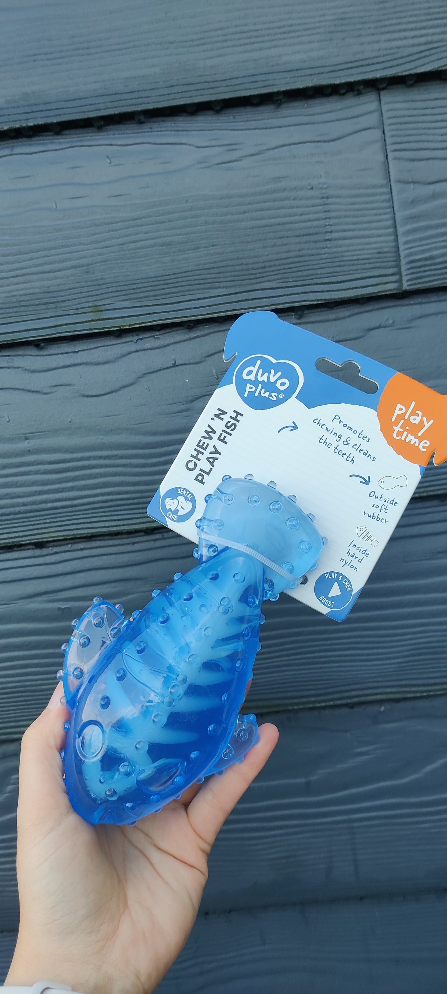 Chew 'n Play Fish
