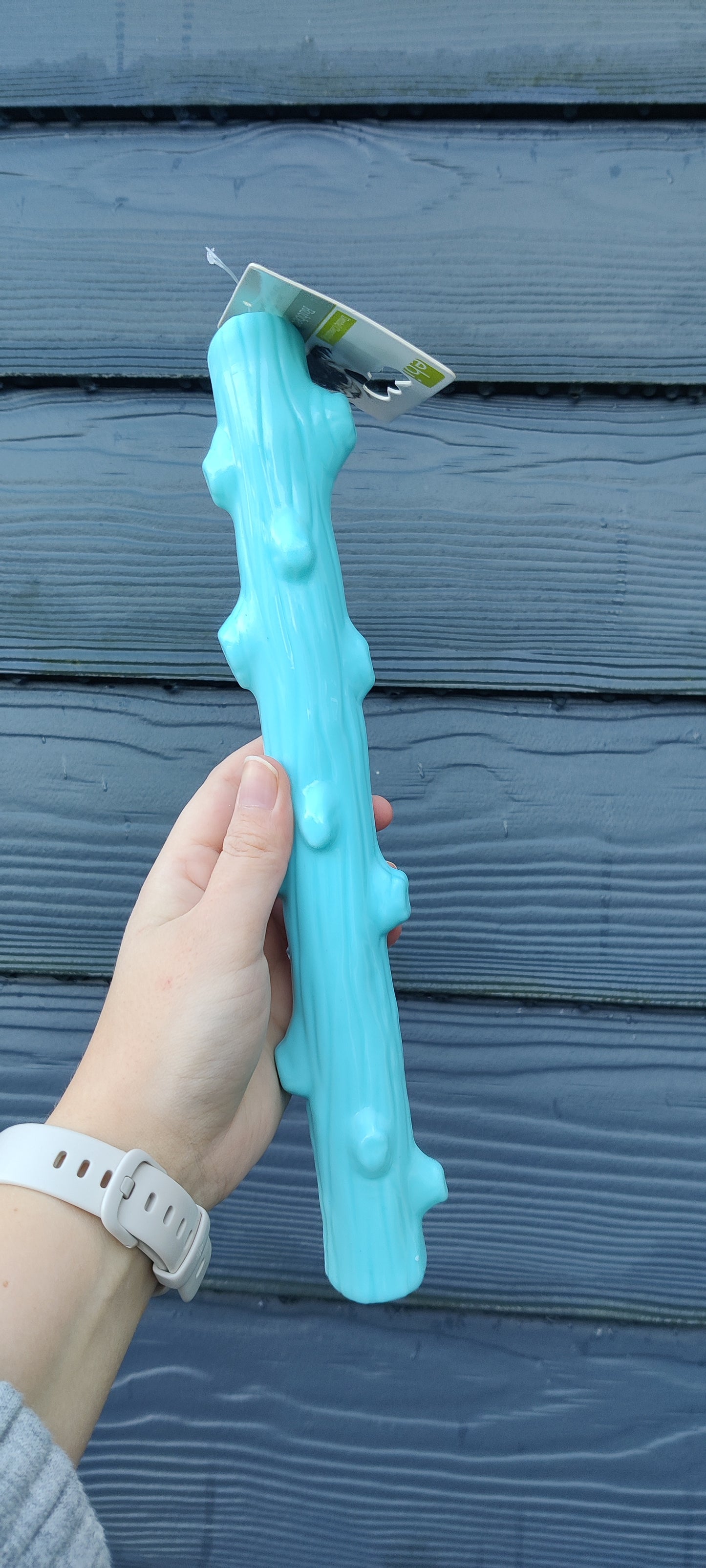 Rubber Stok Munt