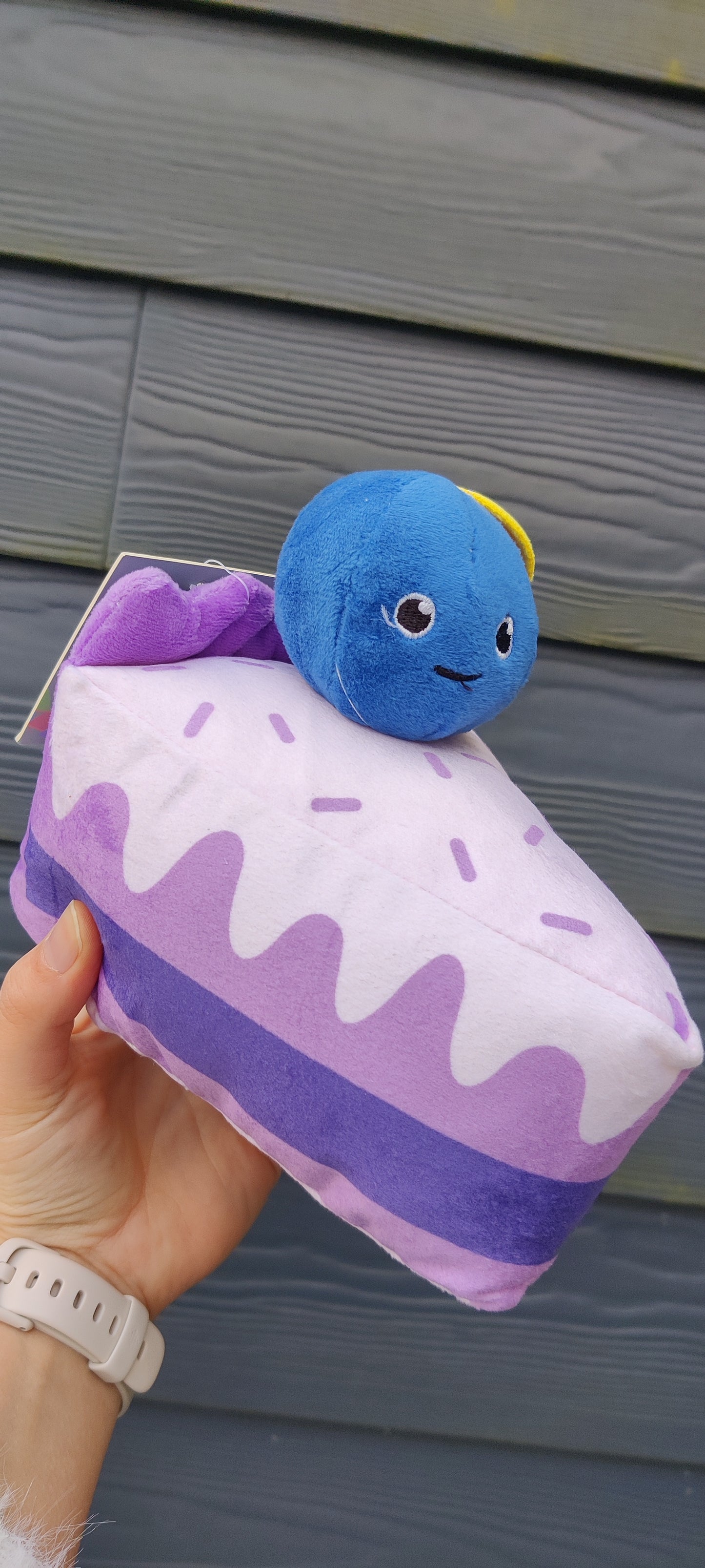 Hugsmart - Blueberry Cake