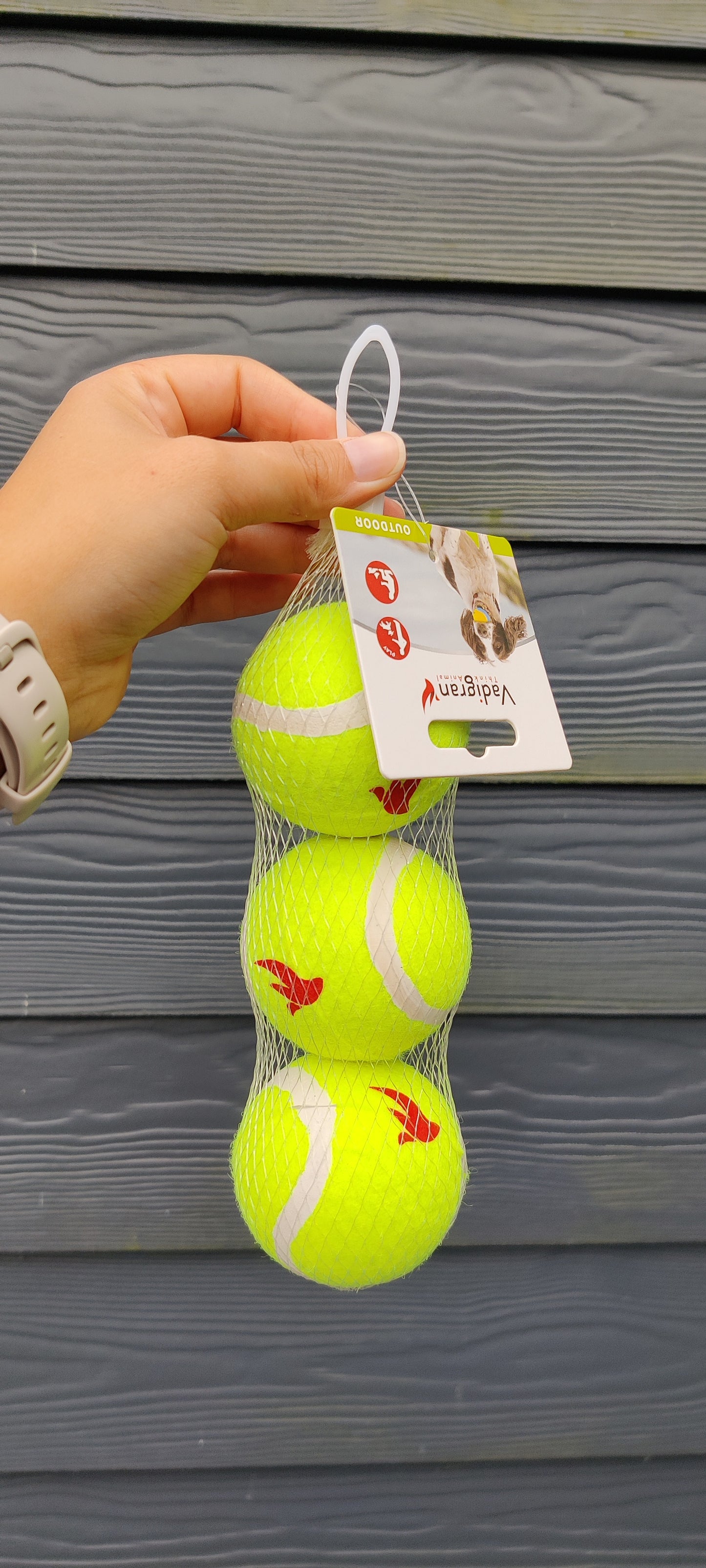 Set van 3 tennisballen
