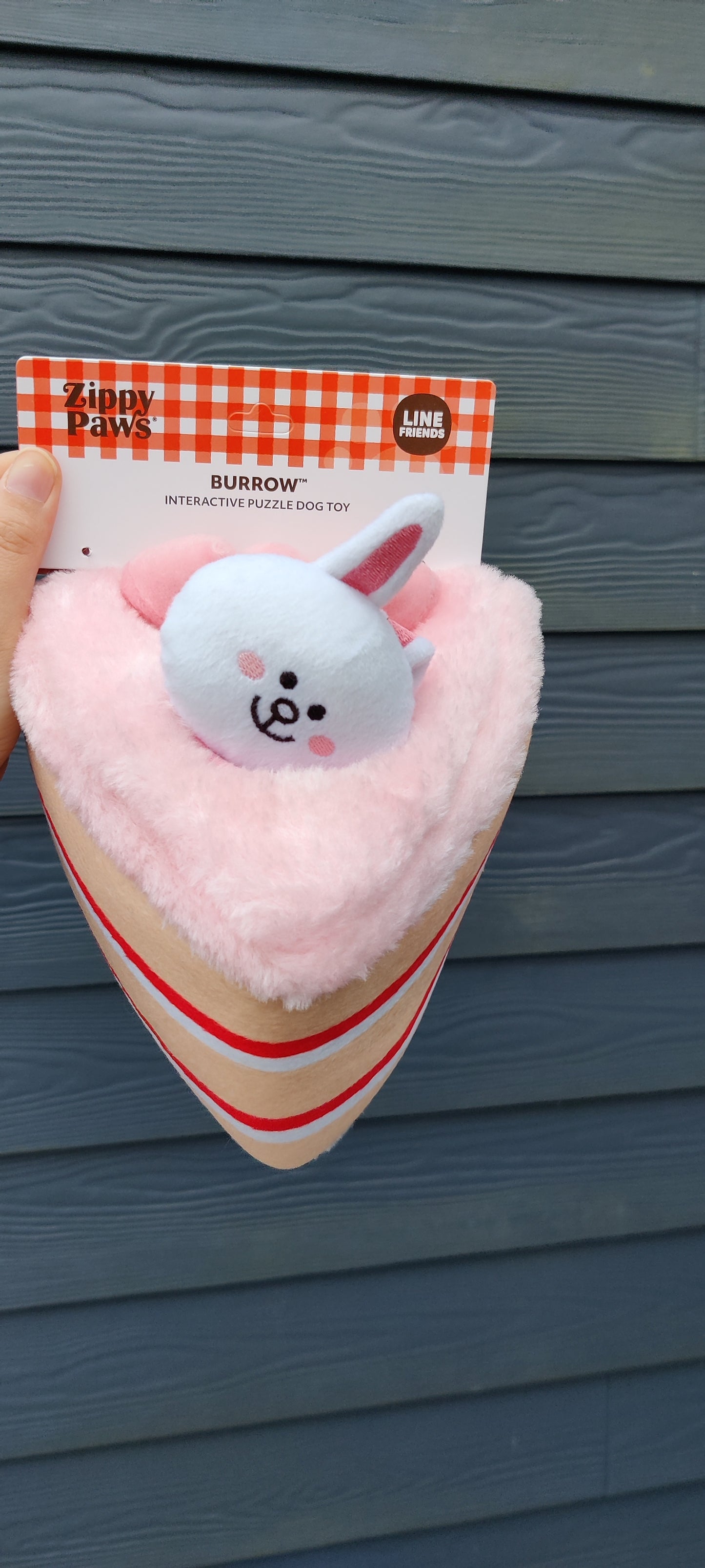 Zippy Burrow - Brown and Cony in Cake