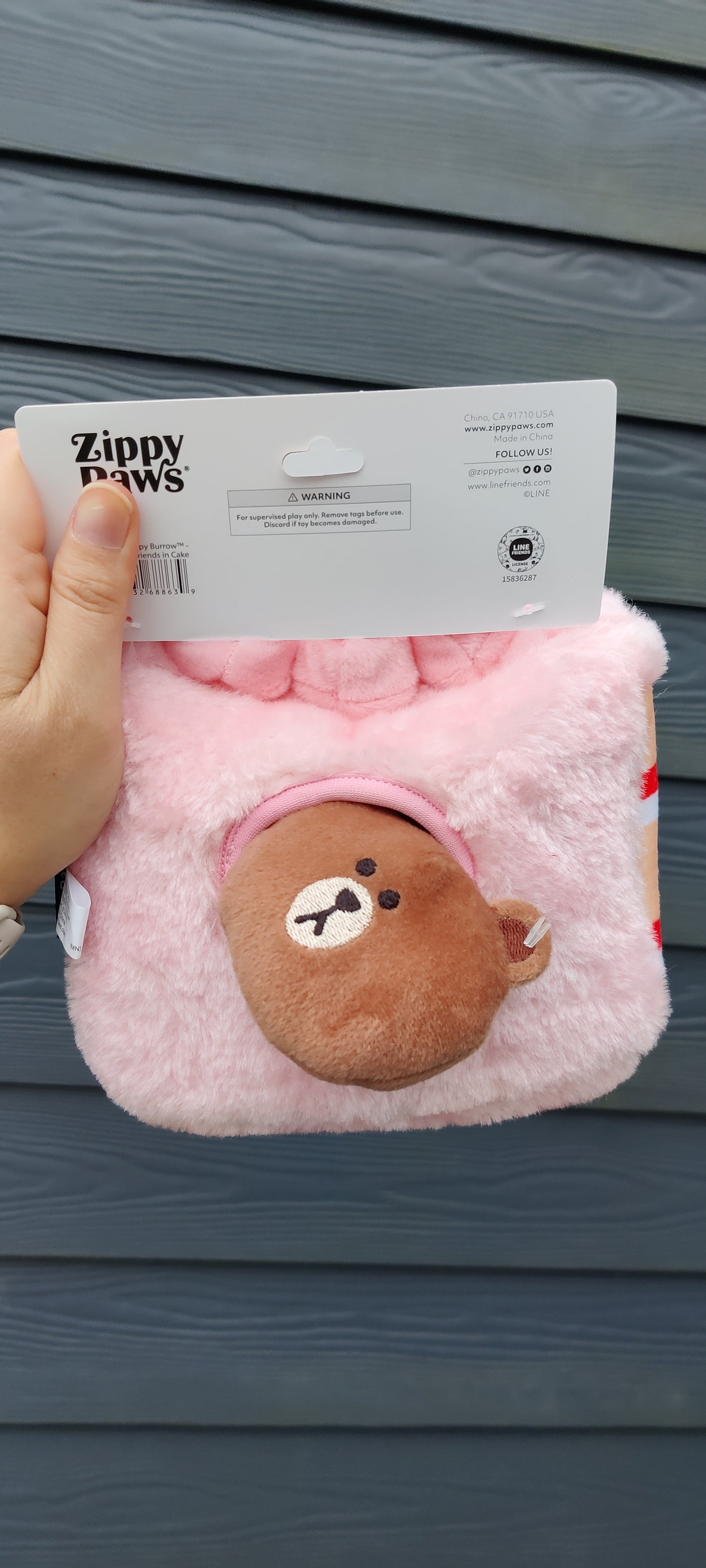 Zippy Burrow - Brown and Cony in Cake