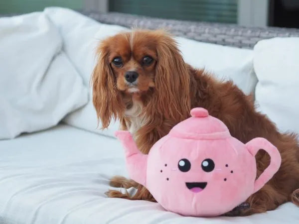 PawStory - Missy Tea