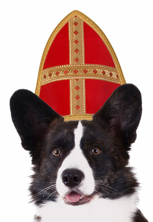 Een rustig Sinterklaasfeest!