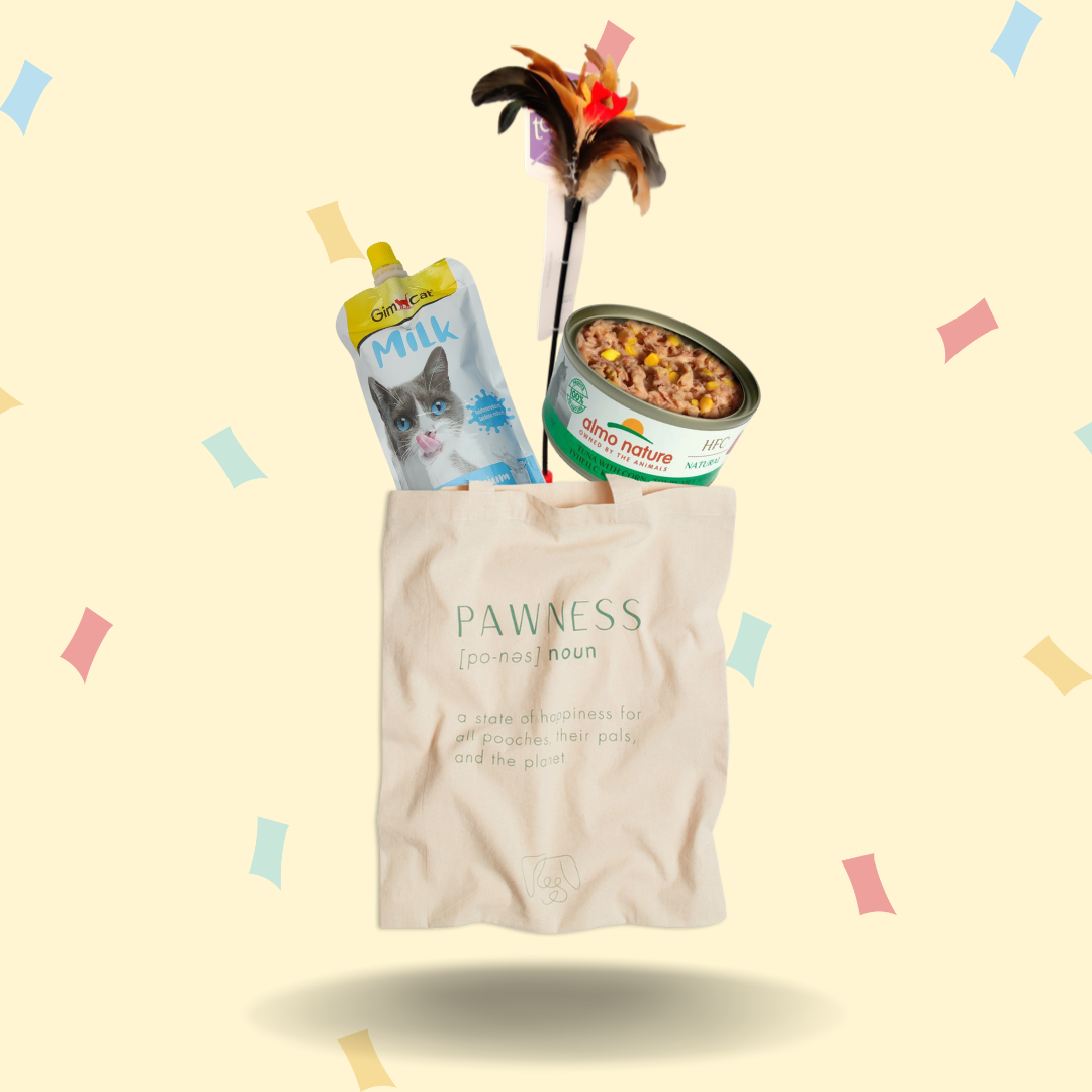 🎁 Werelddierendag box kat | Cadeau bundel deal pakket met korting snack speelgoed