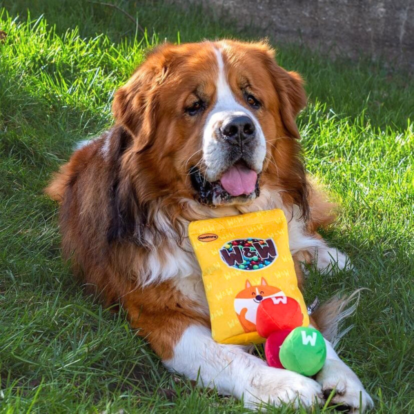 PawStory Snuffles - Choco Delight | Knuffel piep speelgoed verrijking hond/puppy