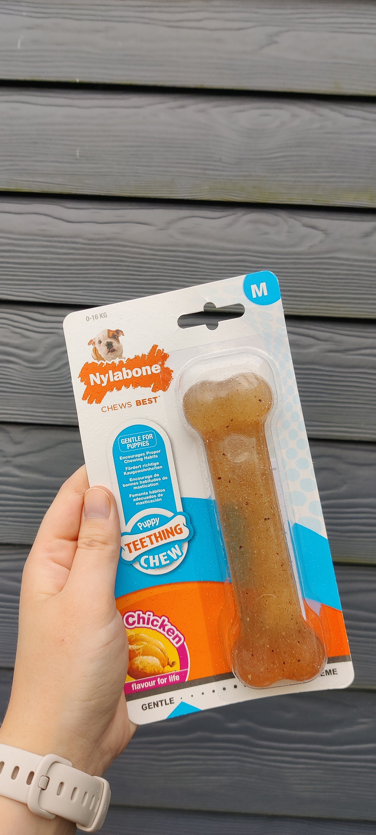 Nylabone - Puppy Chew Chicken