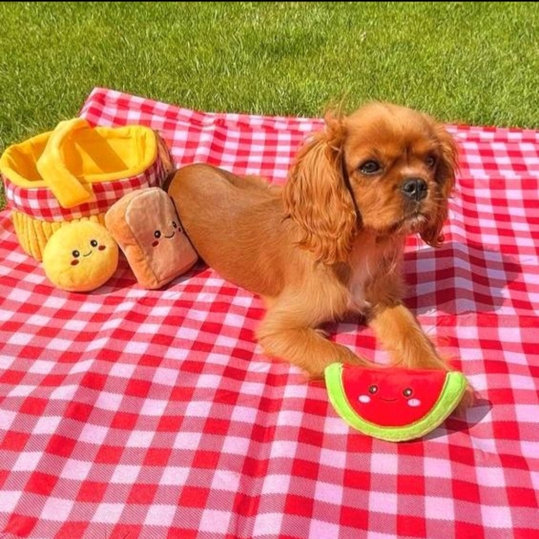 Hugsmart - Picnic Mandje | Lente/zomer knuffel piep speelgoed verrijking hond/puppy