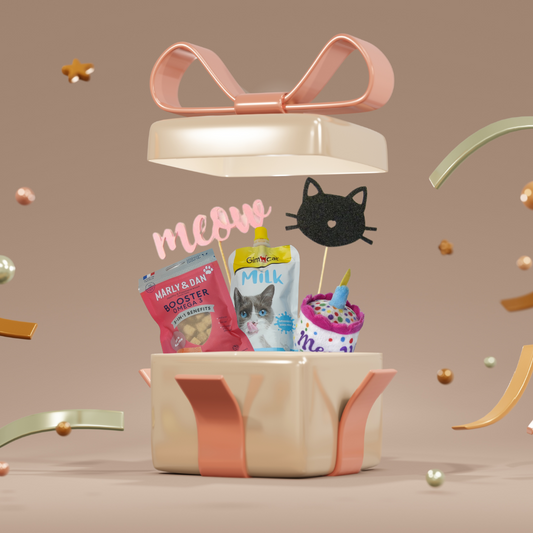 Birthday box kat | Verjaardag cadeau bundel deal pakket met korting snack knuffel speelgoed