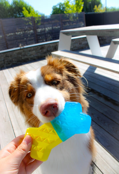 Verkoelend speelgoed | Lente/zomer vakantie drijvend kauw speelgoed hond/puppy