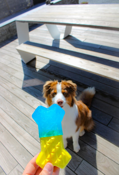 Verkoelend speelgoed | Lente/zomer vakantie drijvend kauw speelgoed hond/puppy