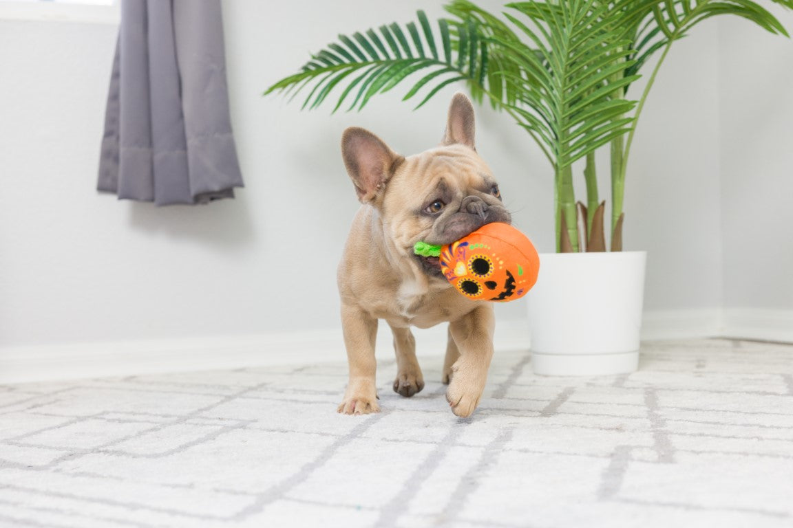 Lulubelles - Tiny Tuff Pumpkin Treats | Halloween knuffel piep sterk speelgoed kleine hond/puppy