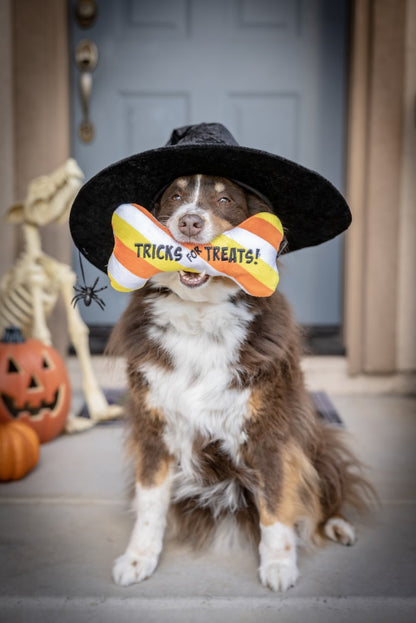 Lulubelles - Tricks for Treats Bone