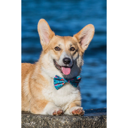 Barkzie - Bowtie - Lissabon | Accessoire hond/puppy