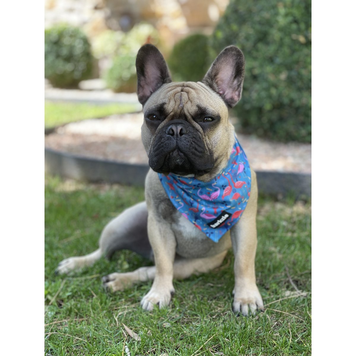 Barkzie - Bandana - Lissabon | Accessoire hond/puppy