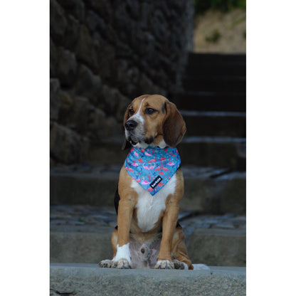 Barkzie - Bandana - Lissabon | Accessoire hond/puppy