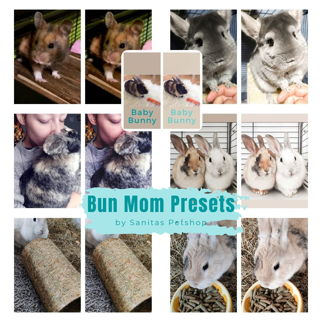 Bun Mom Presets ✨ | Lightroom foto filters konijn/knaagdier