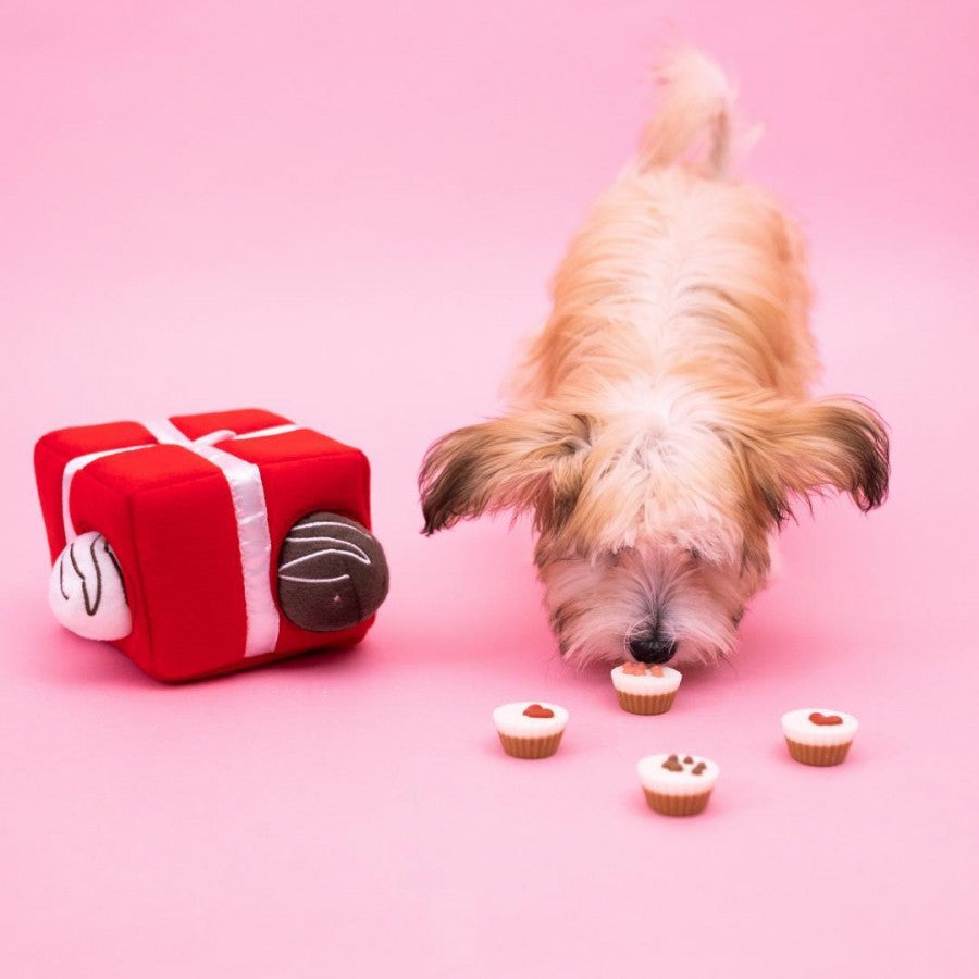Zippy Burrow - Box of Chocolates | Valentijn knuffel piep speelgoed verrijking hond/puppy
