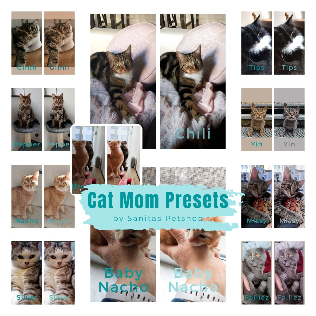 Cat Mom Presets ✨ | Lightroom foto filters kat/kitten