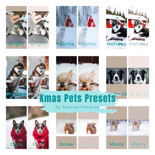 Christmas Pets Presets ✨ | Kerst Lightroom foto filters hond/kat/konijn/knaagdier