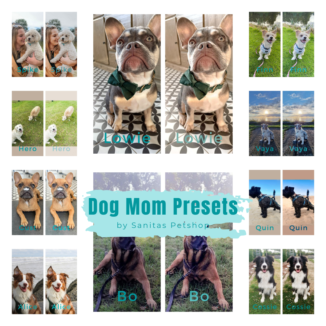 Dog Mom Presets ✨ | Lightroom foto filters hond/puppy