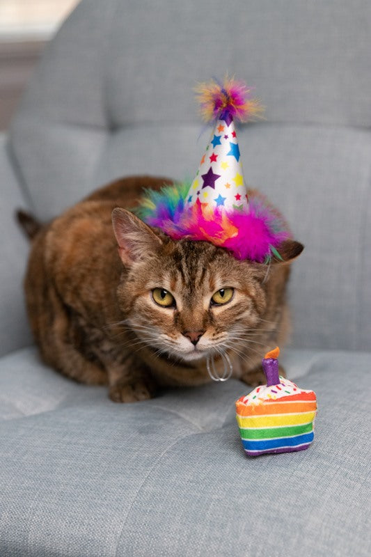 Kittybelles - Funfetti Cake | Verjaardag speelgoed kat/kitten