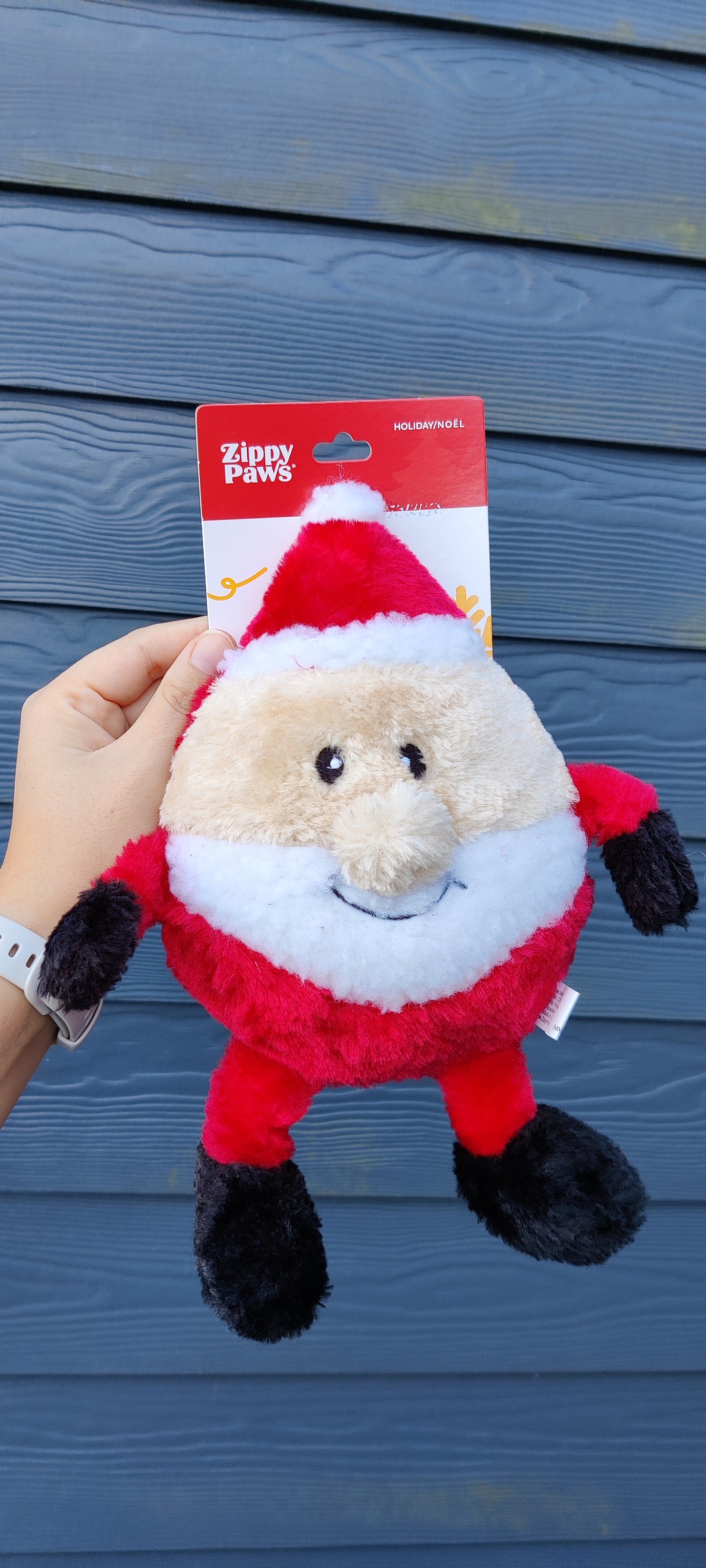 ZippyPaws - Brainey Santa