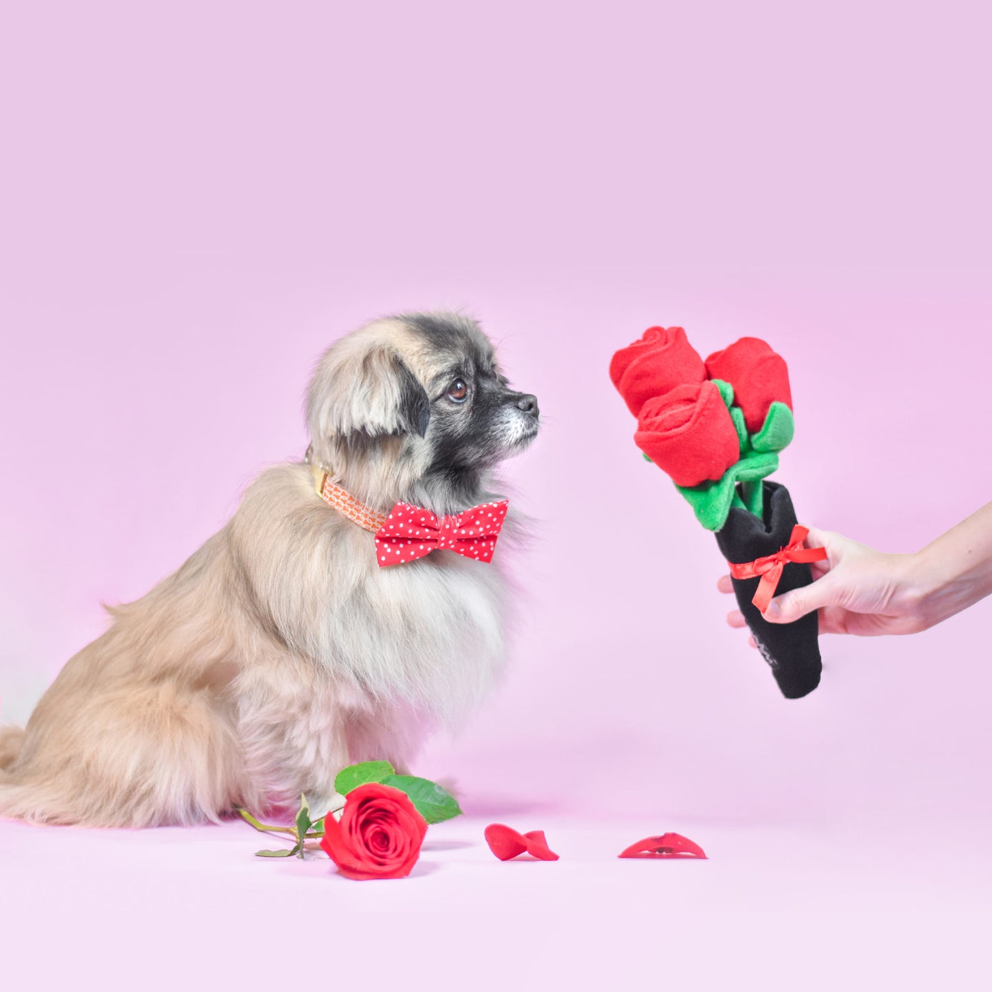 ZippyPaws - Bouquet of Roses | Valentijn knuffel piep speelgoed hond/puppy