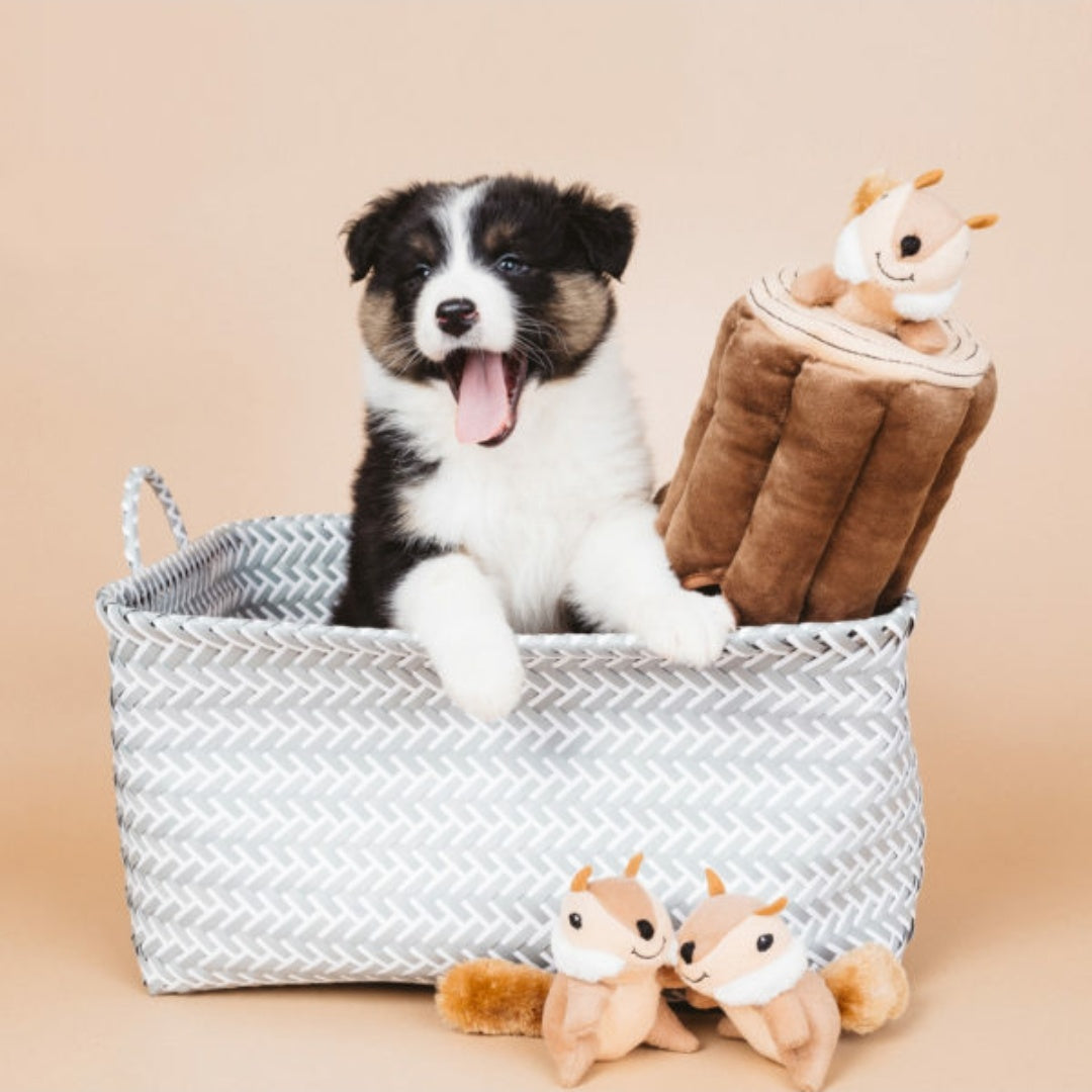 Zippy Burrow - Log With 3 Chipmunks | Knuffel piep speelgoed verrijking hond/puppy
