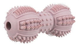 Trixie - Junior Halter