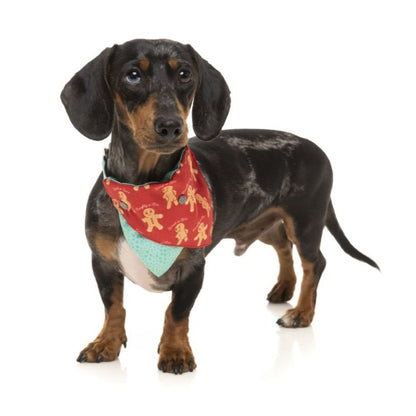 Fuzzyard - Bandana - Naughty Ginger - S/M