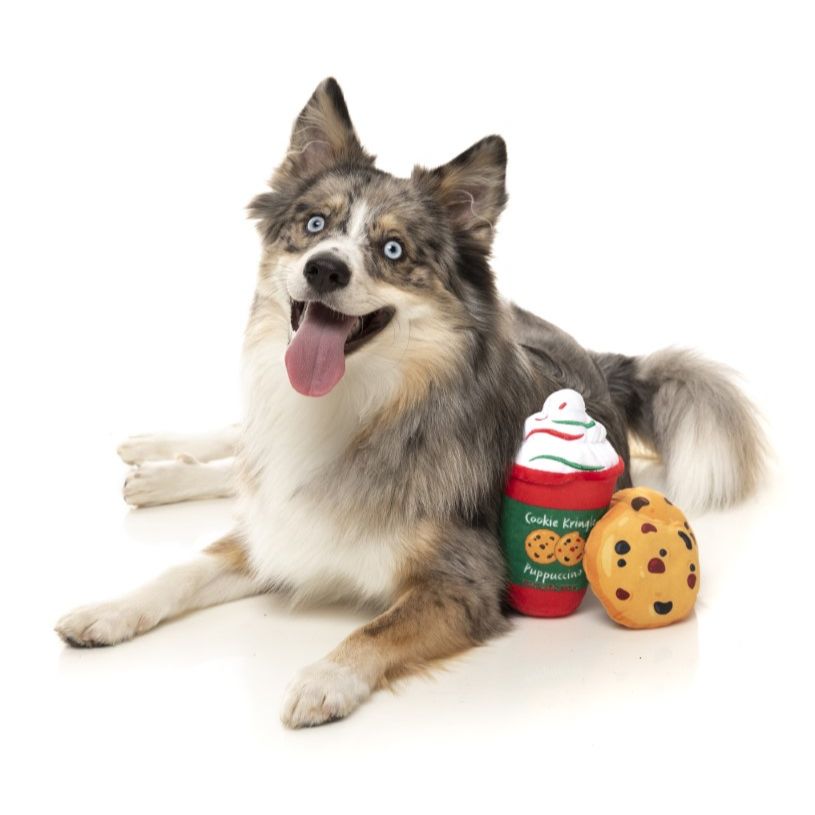 Fuzzyard - Puppuccino & Cookies